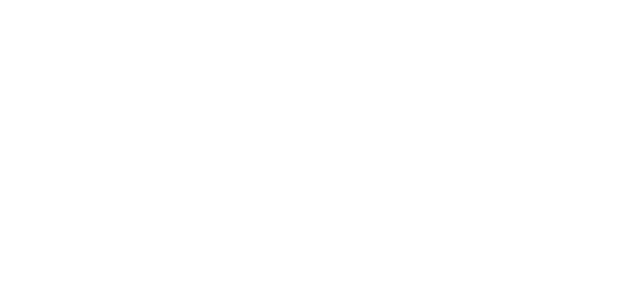 Level4 Logo